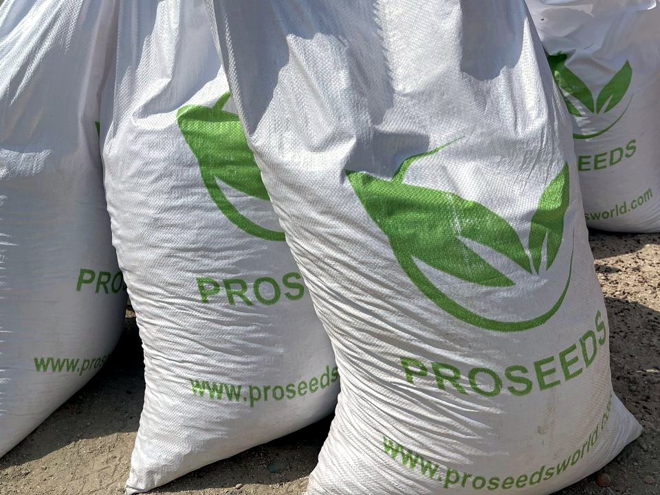 Marked polypropylene bags standing outdoors.