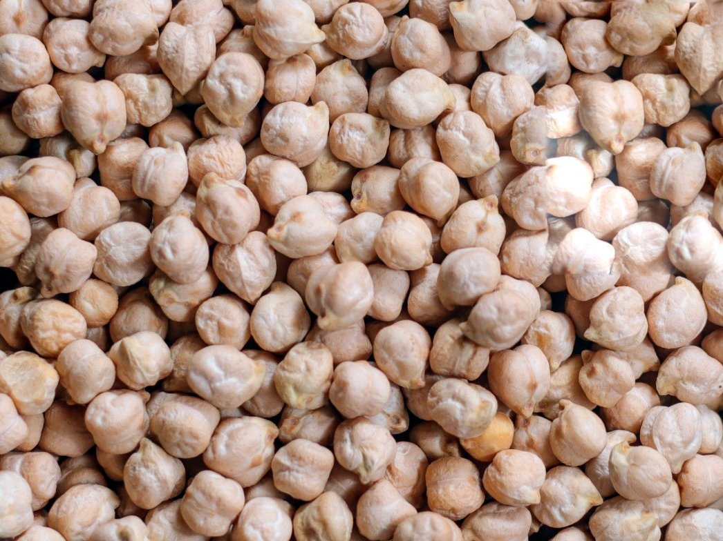Kabuli chickpeas, pale beige, close up