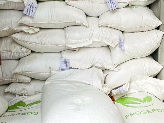 Bags stacked inside an open shipping container.
