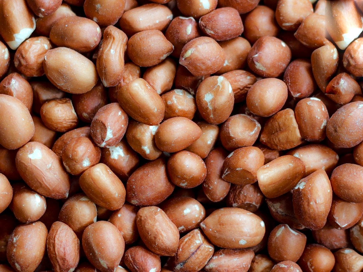 Red-skinned groundnut kernels, close up