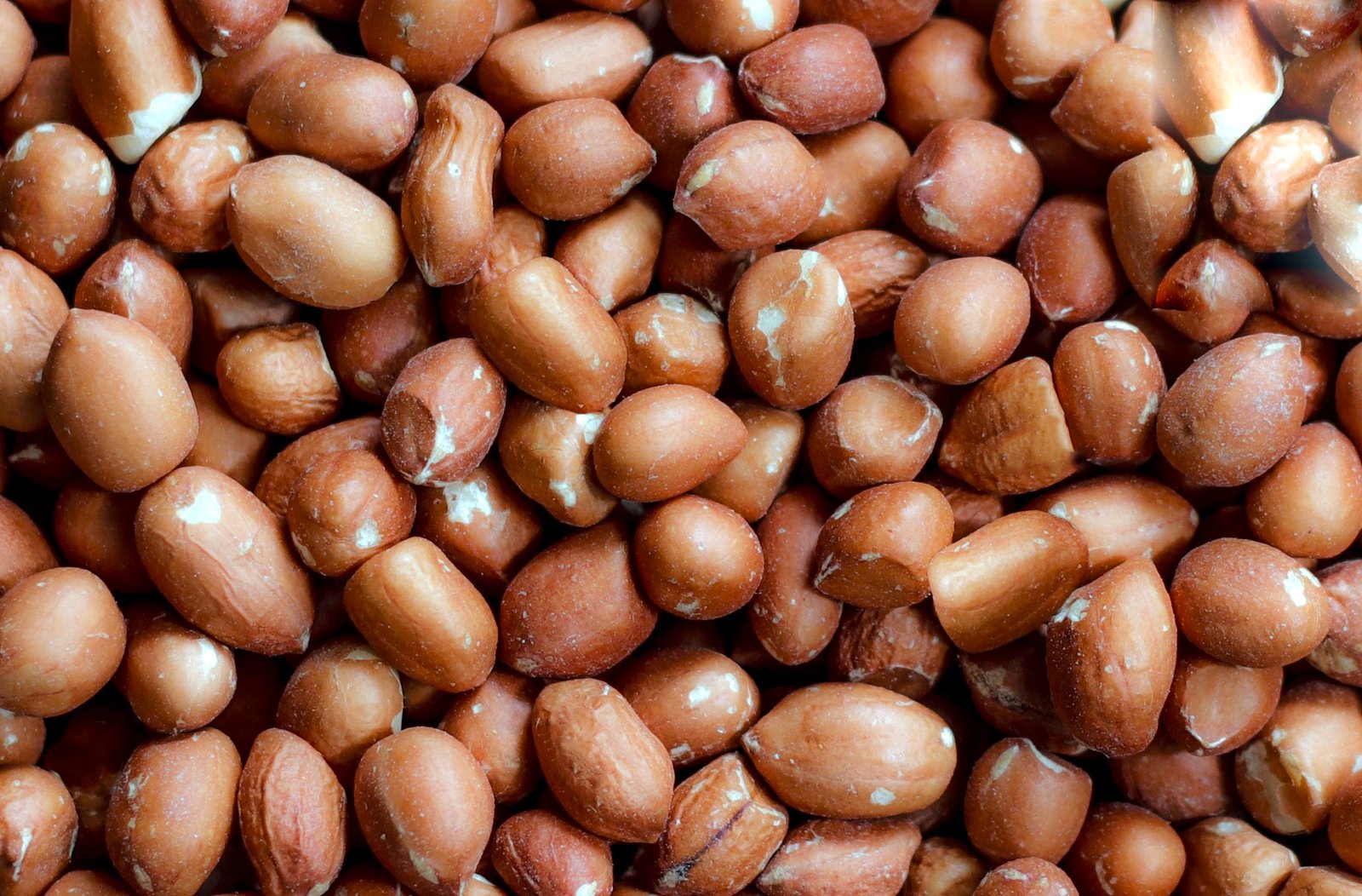 Red-skinned groundnut kernels, close up