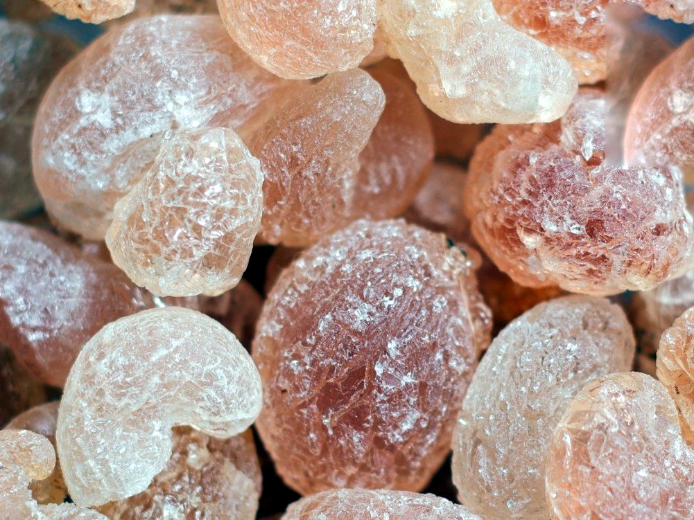Hand picked selection gum arabic: amber lumps of acacia gum, close up