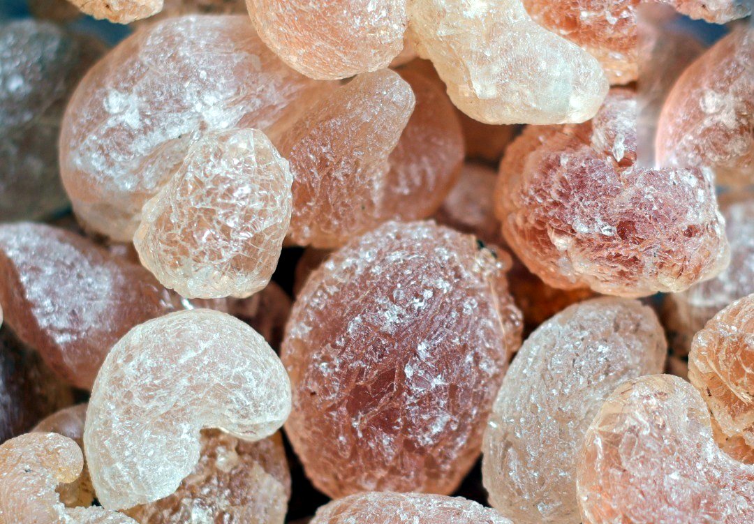 Hand-picked selected gum arabic: amber nodules of acacia gum, close up