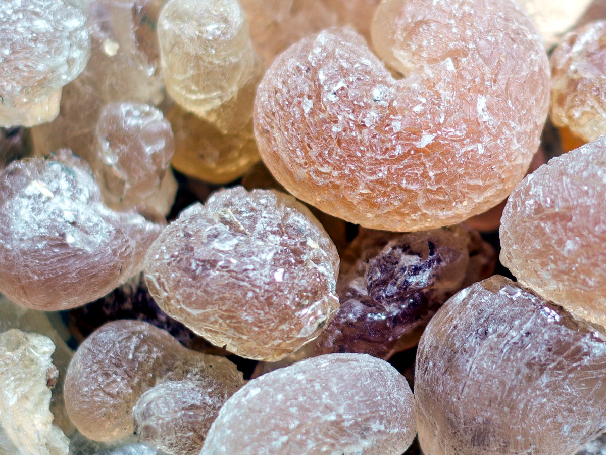 Gum arabic, Cleaned & Sifted lumps.