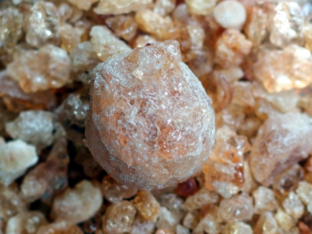 A Talha gum arabic nodule on smaller gum pieces, close up