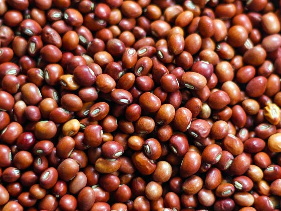 Red pigeon peas, close up