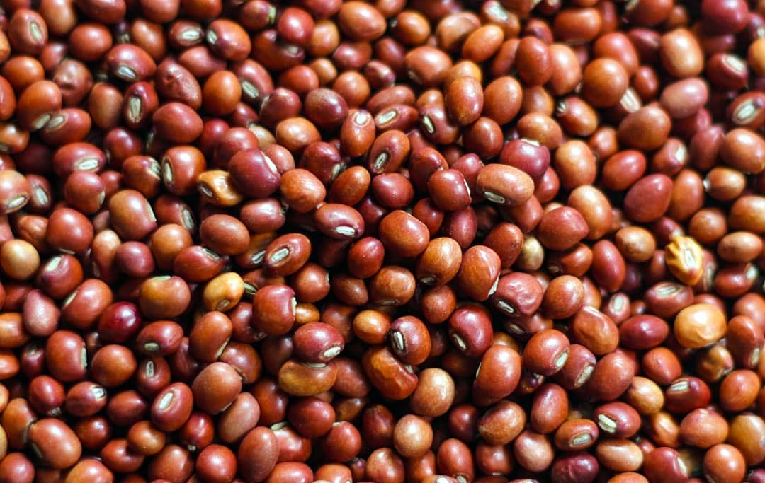 Red pigeon peas, close up