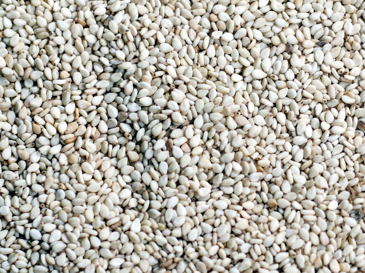 Sesame, Gadarif White.