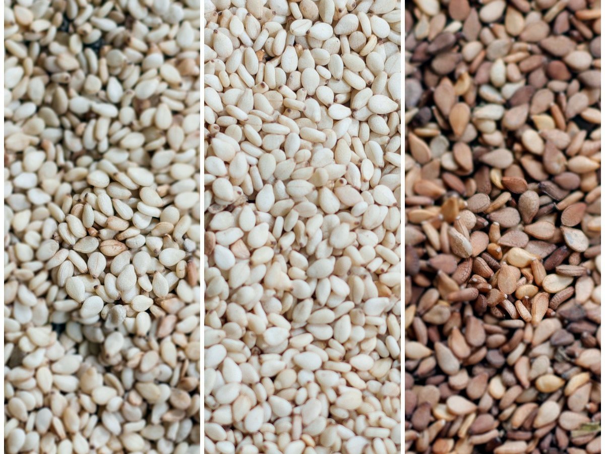 Sesame seed in three grades side by side: two white grades and one brown