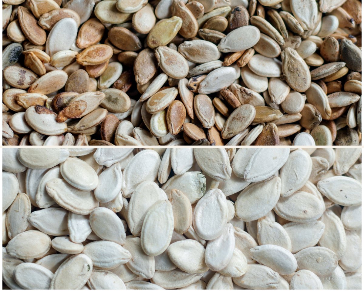 Watermelon seeds, the two grades side by side: Sadir above, Jumbo below.