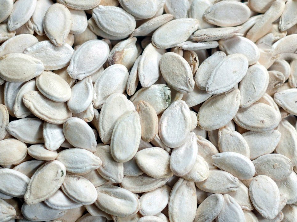 Large white watermelon seeds, Jumbo grade
