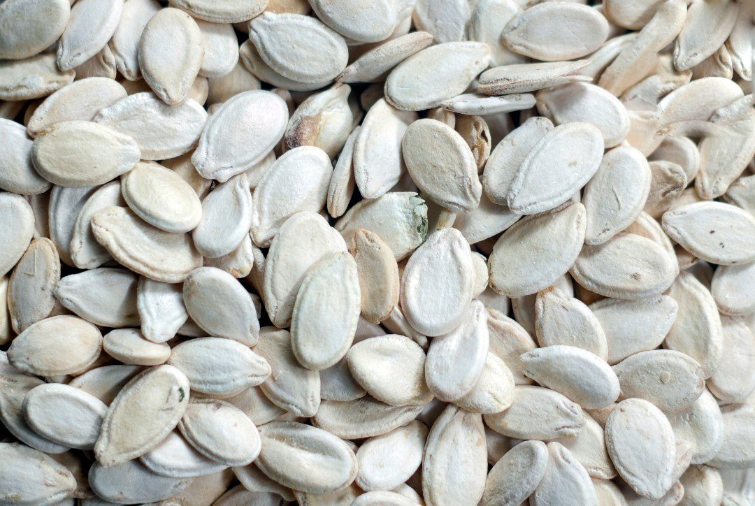 Large white watermelon seeds, Jumbo grade